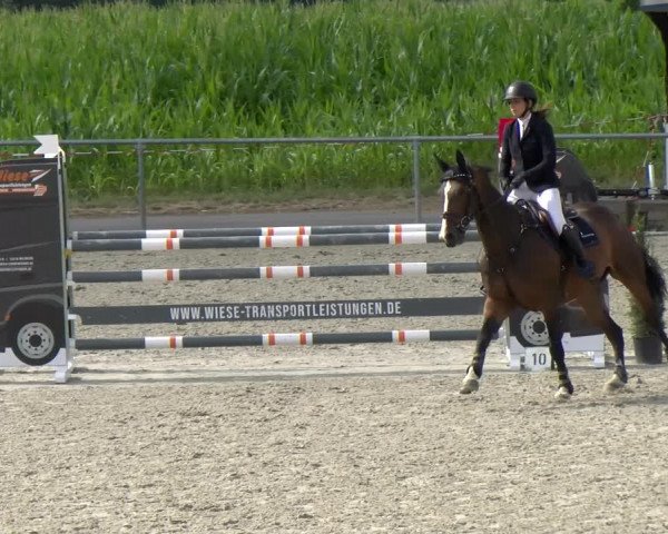 Reitturnier Ehningen 2022