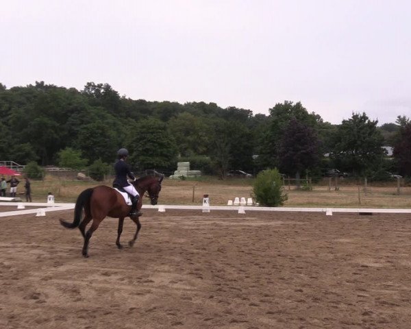 Reitturnier Halle-Seeben 2022