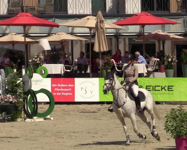 Reitturnier Nörten-Hardenberg 2022