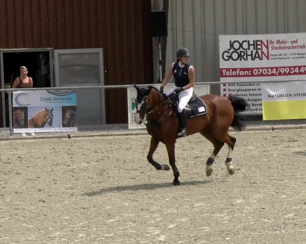 Reitturnier Ehningen 2022