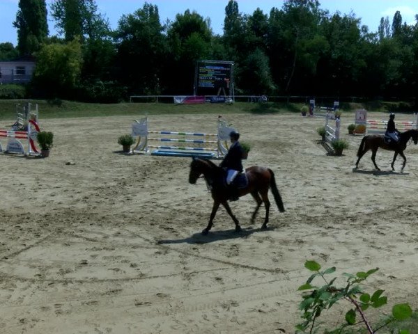Reitturnier Viersen-Dülken 2022