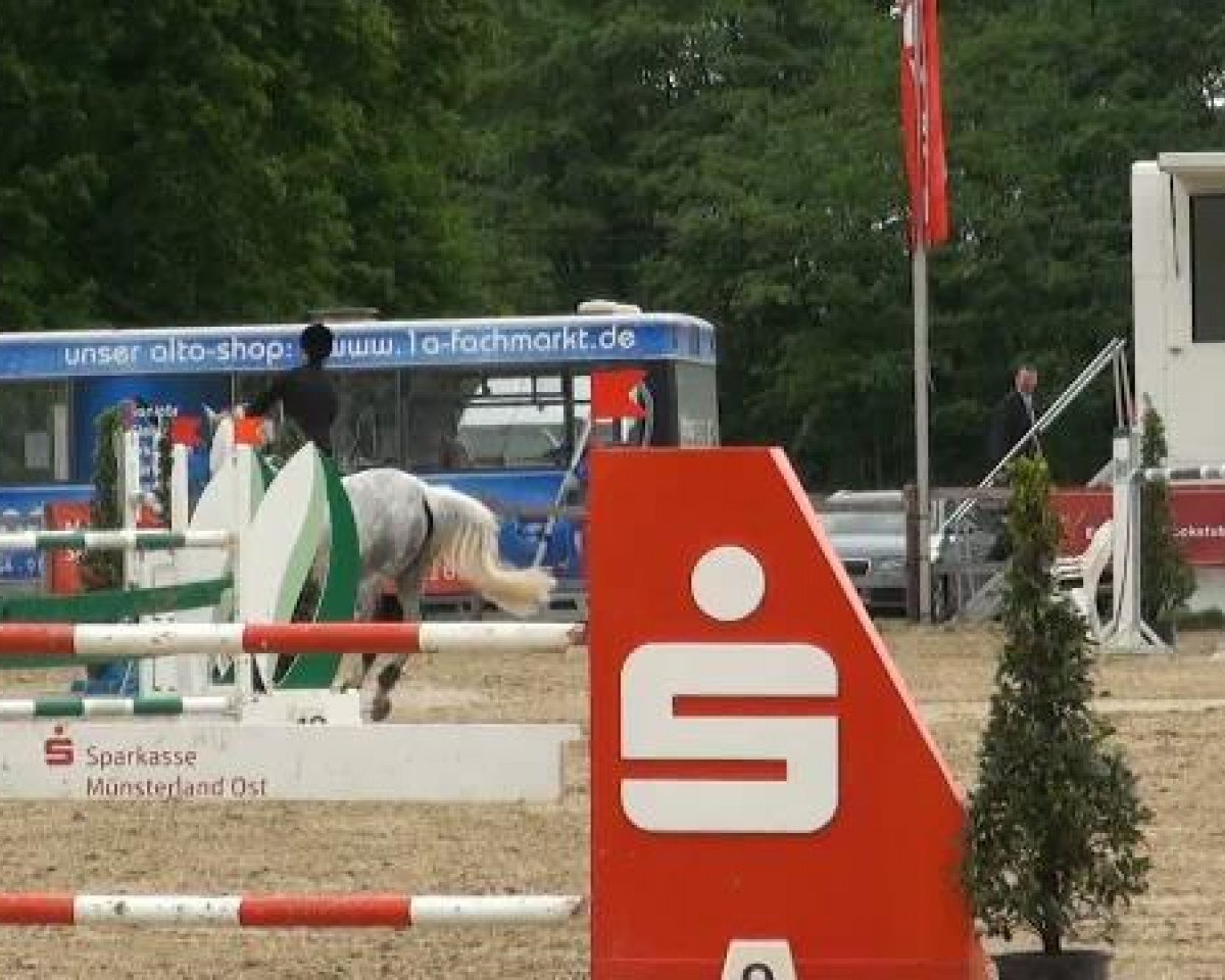 Égua reprodutora Roy-Ciska (Westfaliano, 2002, de Royalist) - Münster-Angelmodde Dressur und Springturnier 2012 20.05.2012
22_1 Springprüfung Kl. M**  Gl. Sichtung west.Junioren
