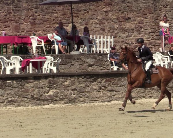 Reitturnier Nörten-Hardenberg 2022