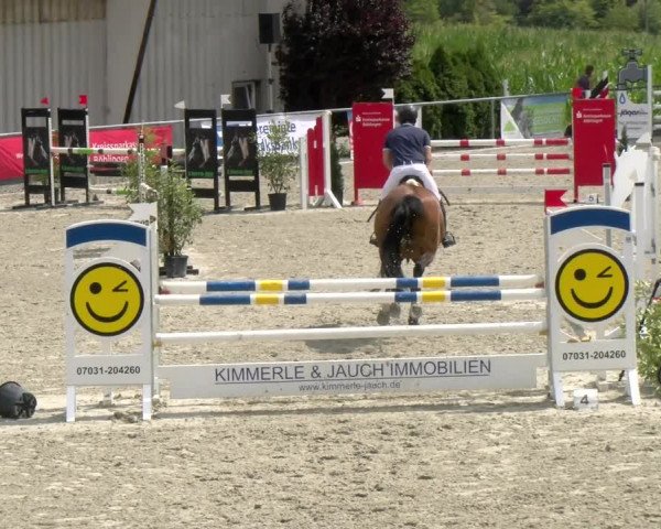 Reitturnier Ehningen 2022