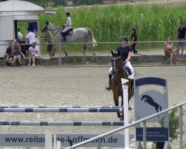 Reitturnier Ehningen 2022