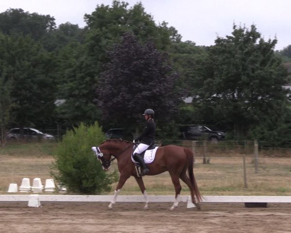 Reitturnier Halle-Seeben 2022