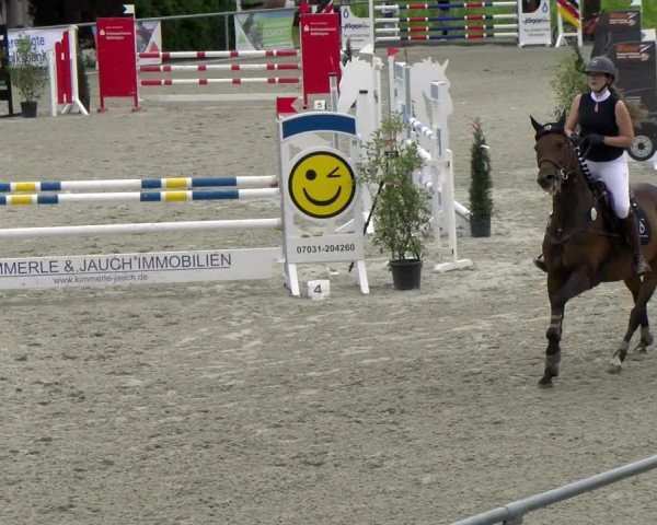 Reitturnier Ehningen 2022