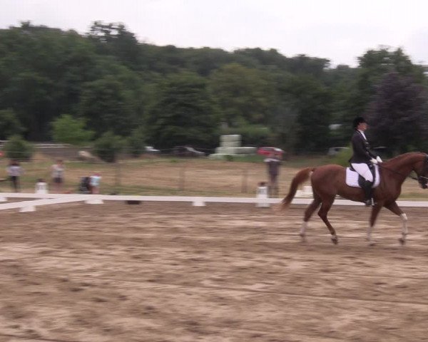 Reitturnier Halle-Seeben 2022