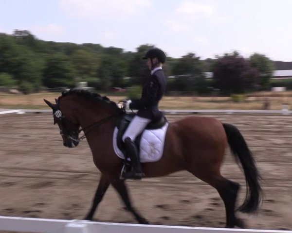 Reitturnier Halle-Seeben 2022