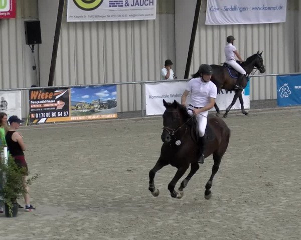 Reitturnier Ehningen 2022