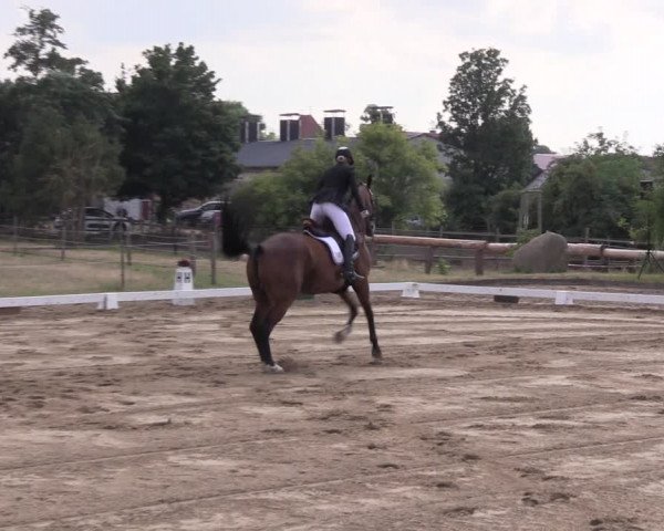 Reitturnier Halle-Seeben 2022