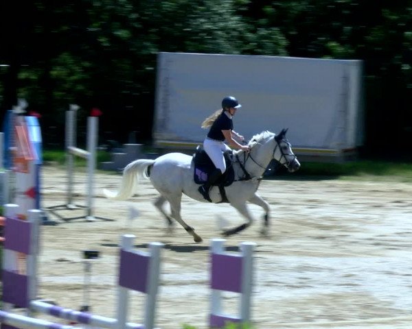 Reitturnier Viersen-Dülken 2022