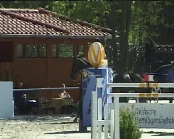 jumper Liane K (Oldenburg, 1998, from Ribot)