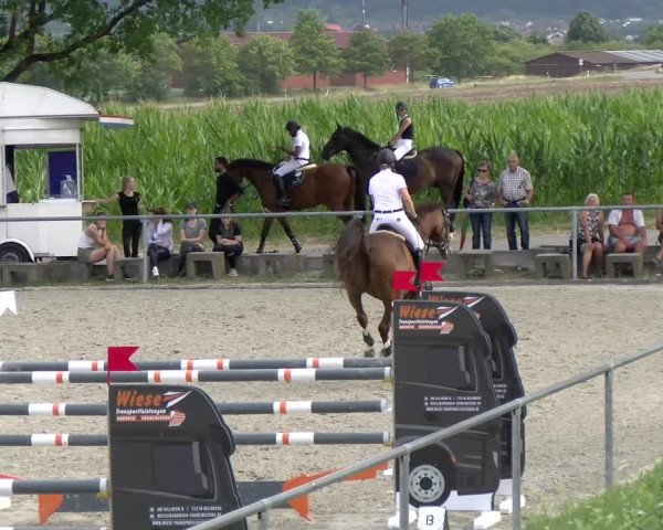Reitturnier Ehningen 2022