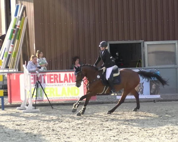 Reitturnier Ehningen 2022