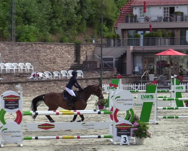 Reitturnier Nörten-Hardenberg 2022