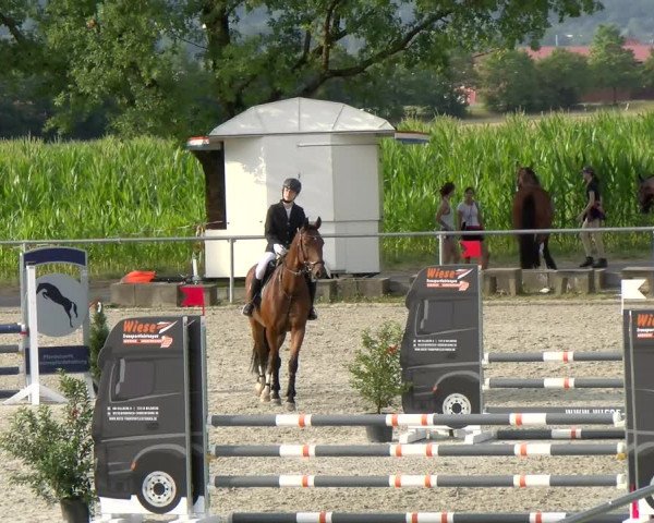 Reitturnier Ehningen 2022