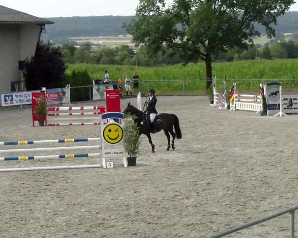Reitturnier Ehningen 2022