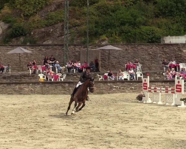 Reitturnier Nörten-Hardenberg 2022