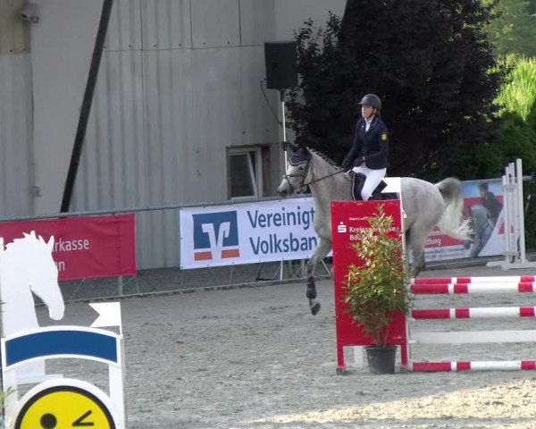 Reitturnier Ehningen 2022