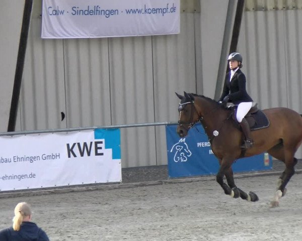 Reitturnier Ehningen 2022