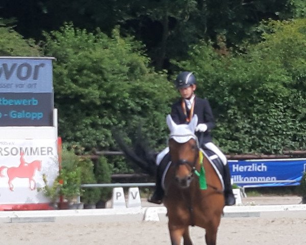 broodmare Ricci 2 (Rhinelander, 2004, from Riccione)