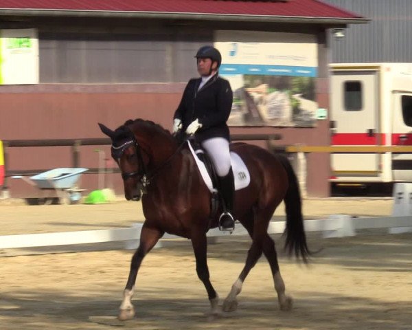 Reitturnier Marienheide-Kempershöhe 2022