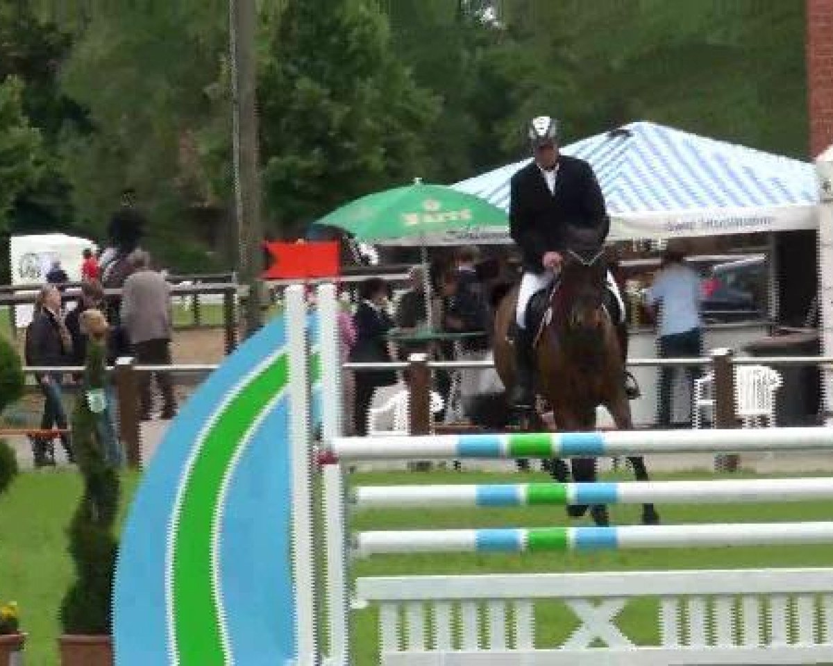 jumper Stalypso Dream (Hanoverian, 2007, from Stalypso)