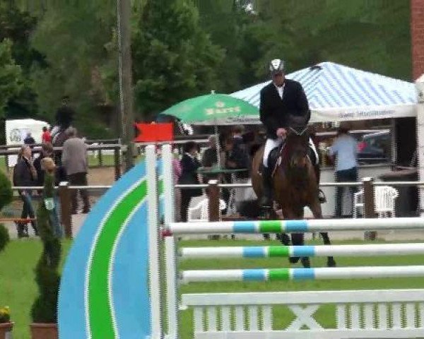 jumper Stalypso Dream (Hanoverian, 2007, from Stalypso)