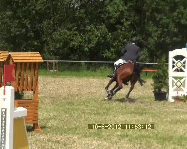 broodmare Verdammt Gut (Holsteiner, 2005, from Clearway)