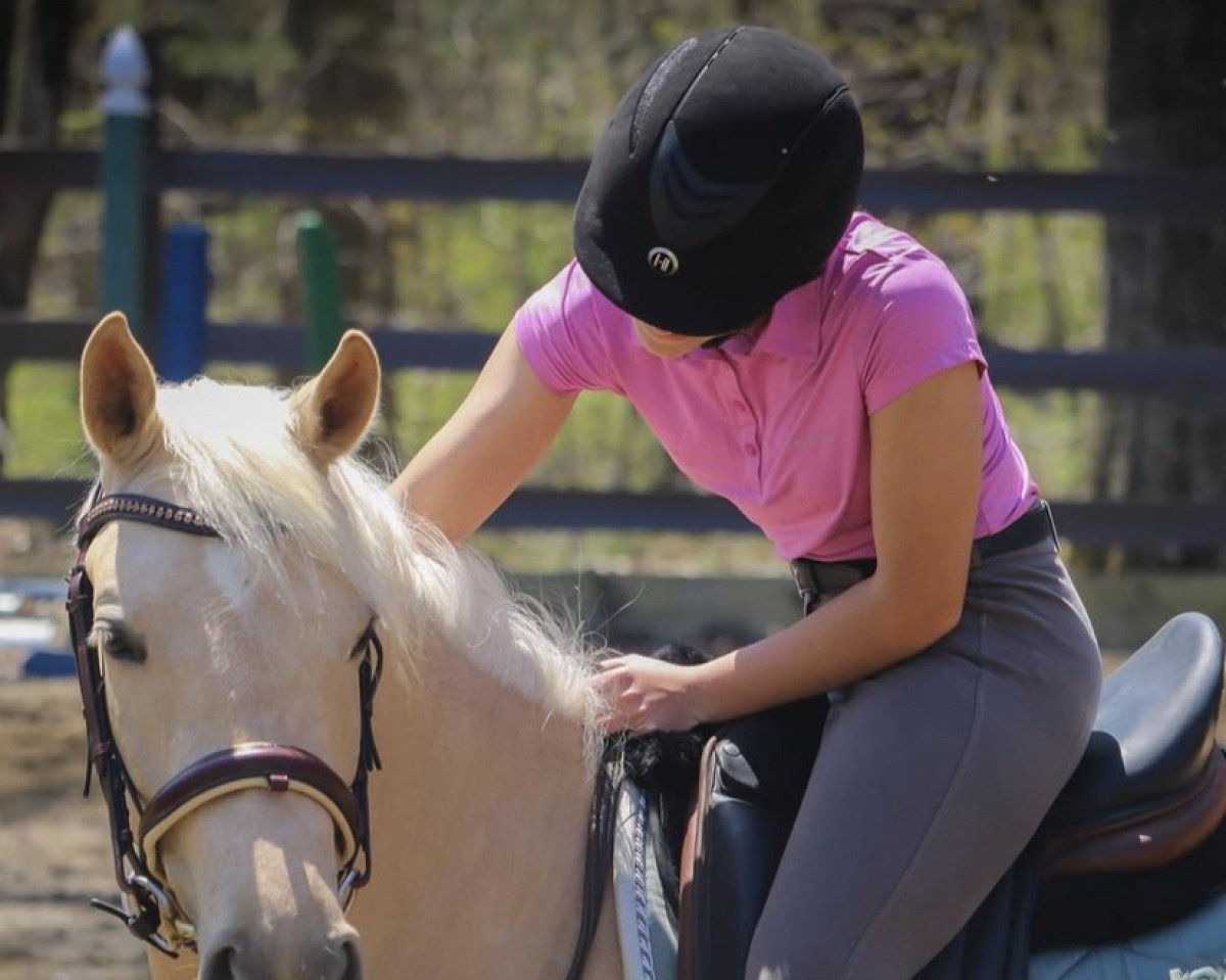 broodmare Dulcemente (German Riding Pony, 2017, from Dating AT NRW)