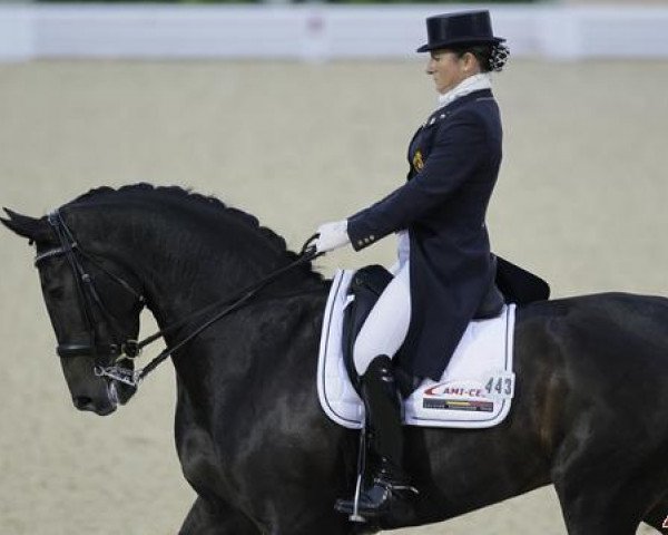 broodmare Donnerfee (Oldenburg, 2000, from De Niro)