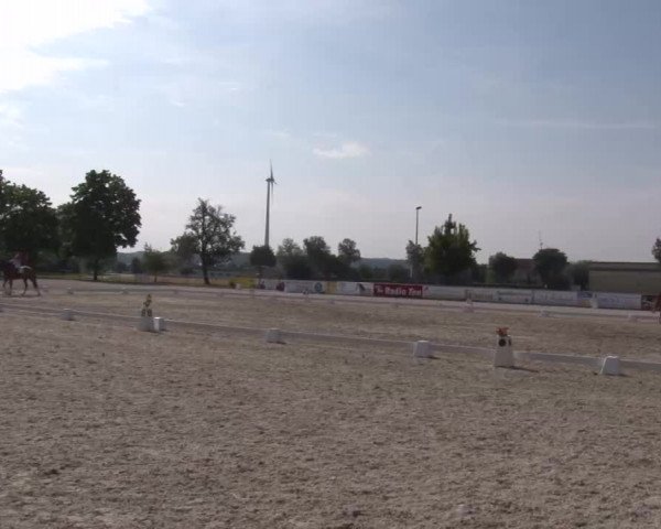 Reitturnier Rot am See- Musdorf 2022