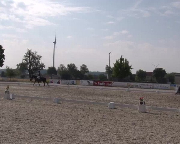 Reitturnier Rot am See- Musdorf 2022