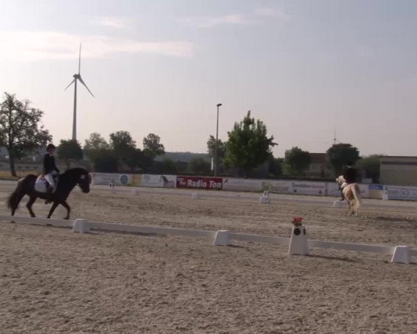 Reitturnier Rot am See- Musdorf 2022
