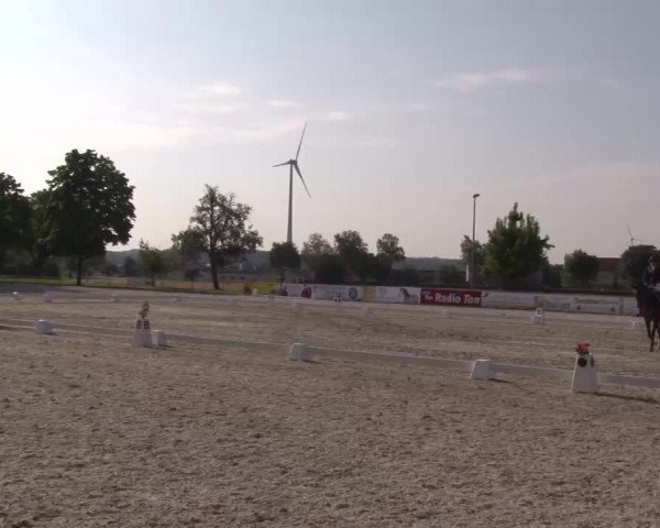 Reitturnier Rot am See- Musdorf 2022