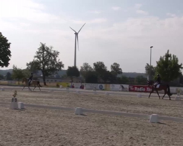 Reitturnier Rot am See- Musdorf 2022