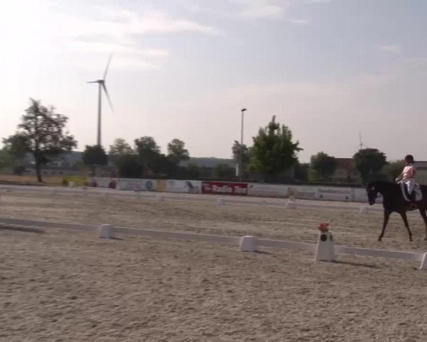 Reitturnier Rot am See- Musdorf 2022