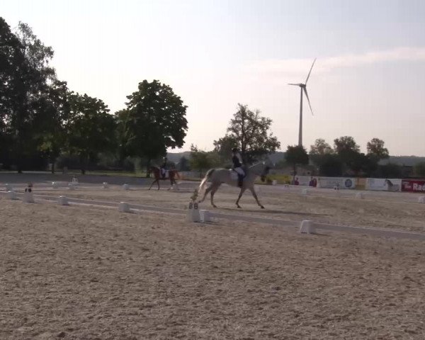 Reitturnier Rot am See- Musdorf 2022