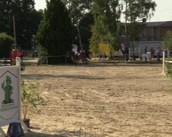 Reitturnier Herbern 2022