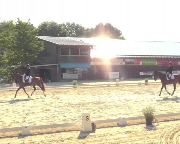 Reitturnier Marienheide-Kempershöhe 2022