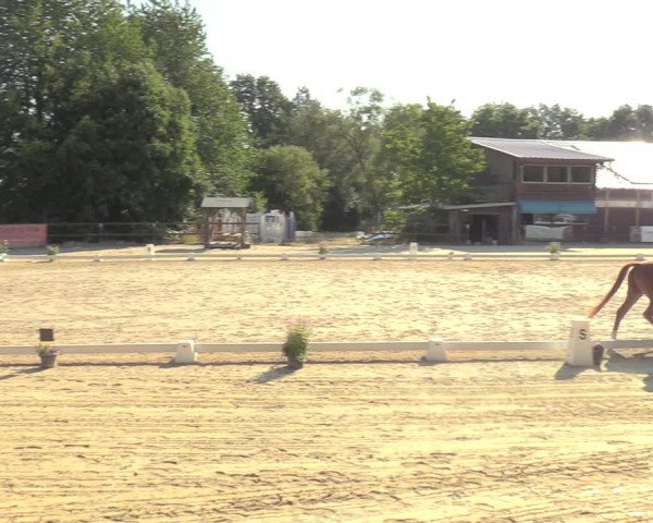 Reitturnier Marienheide-Kempershöhe 2022