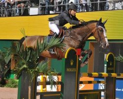 jumper Royal Power (KWPN (Royal Dutch Sporthorse), 1997, from Pionier)