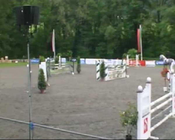 broodmare Don Larina (Oldenburg, 2001, from Don Larino 171 FIN)