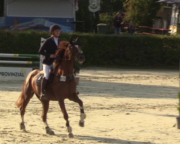 Reitturnier Vlotho-Exter 2022