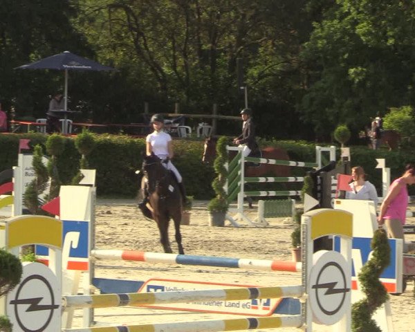 Reitturnier Vlotho-Exter 2022