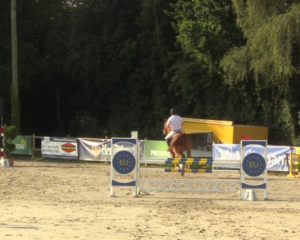 Reitturnier Vlotho-Exter 2022