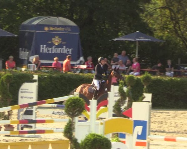 Reitturnier Vlotho-Exter 2022