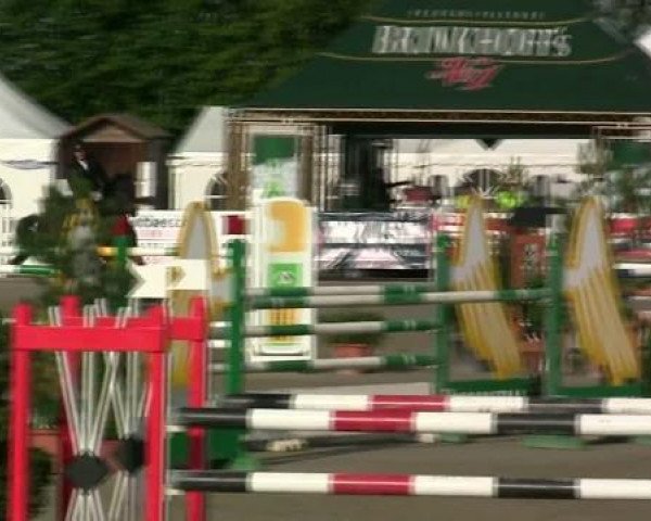 Springpferd Caschmir W (Deutsches Reitpferd, 2003, von Chequille 2)