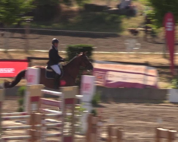 Reitturnier Halle-Seeben 2022